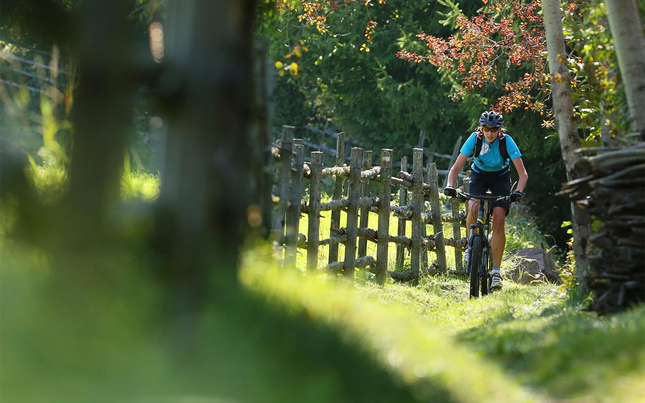 Due ciclisti in mountain bike su un prato alpino nei dintorni di Merano