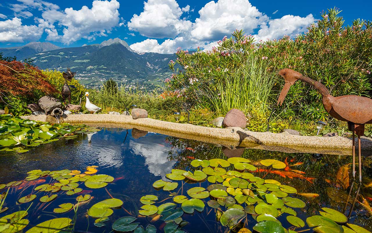 Teich mit Seerosen im Vordergrund und Bergpanorama im Hintergrund