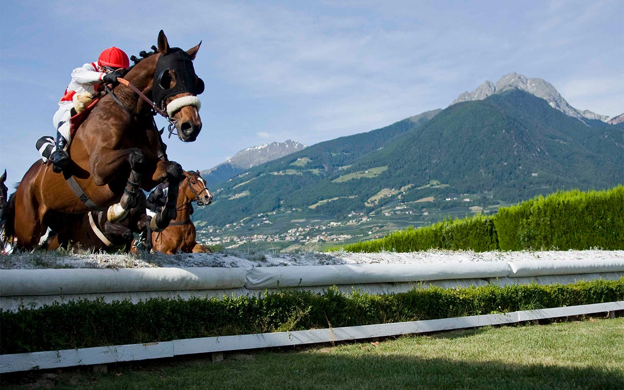 View of horses during a race