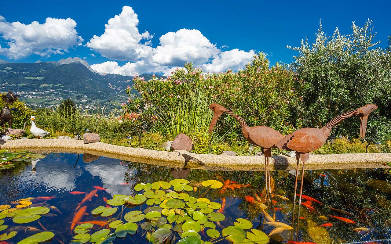 Der Teich im Hotel Kristall mit Blick auf Meran und Umgebung