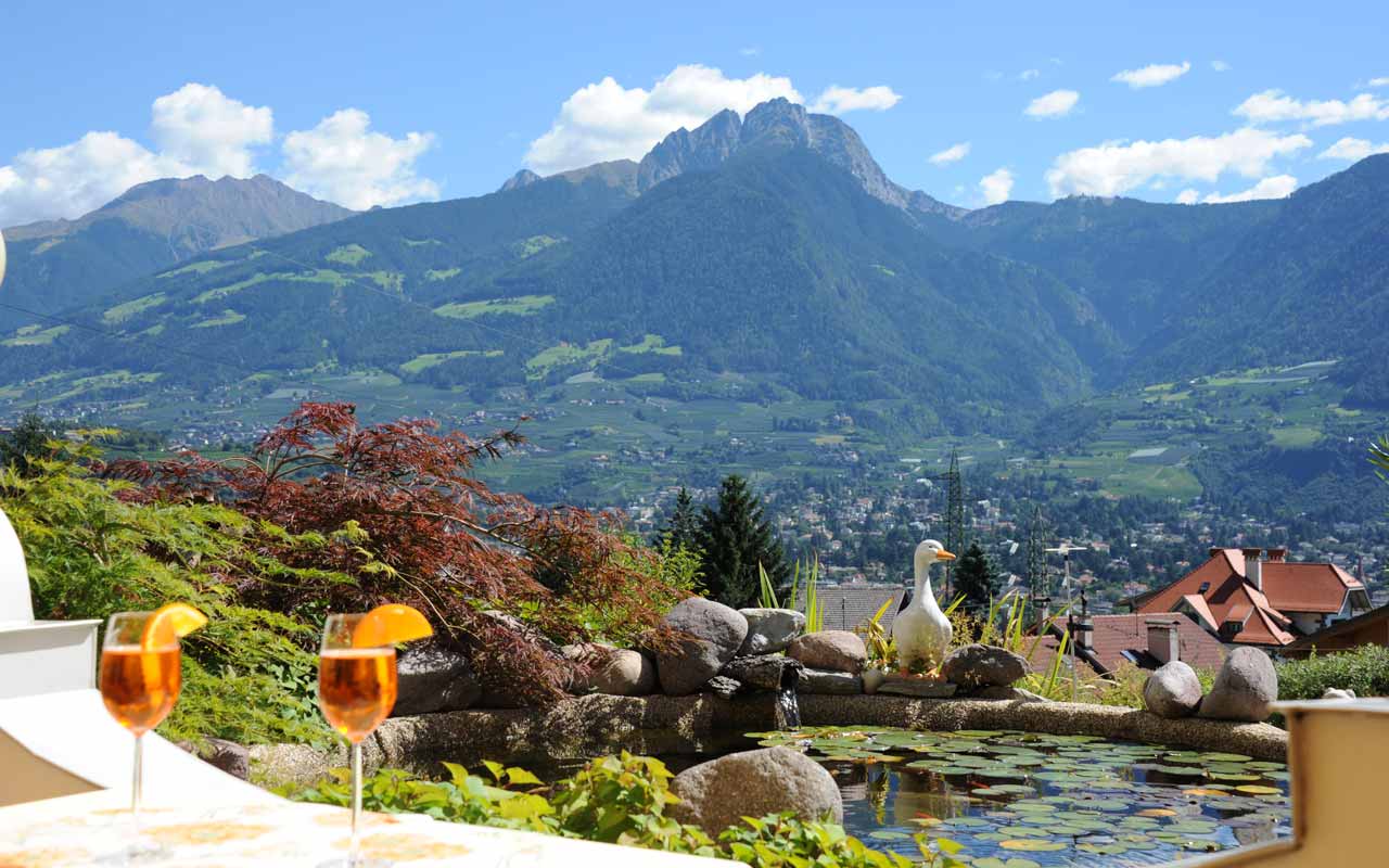 Es befinden sich zwei Getränke auf einen Tisch und der Blick zeigt einen Teich mit einer Ente am Teichrand und im Hintergrund sind ein Tal und Berge zu erkennen