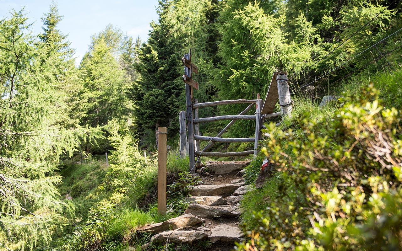 Paesaggio montano con sentiero che sale in vetta e cime in lontananza