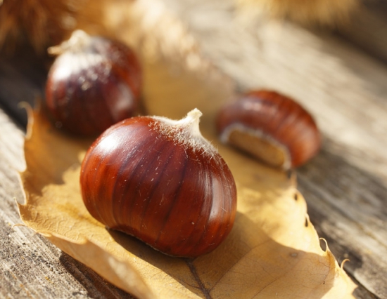 Auszeit im herbstlichen Meran - 5%!