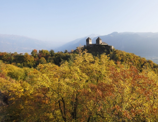 ZAUBERHAFTER HERBST - Vorteilsangebot 5=4