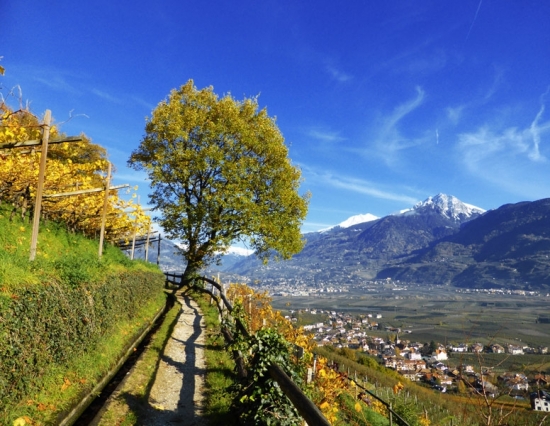 MAGICAL AUTUMN - offer 5=4